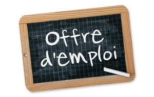 Offre d'emploi à pourvoir à partir du 15/08/2024