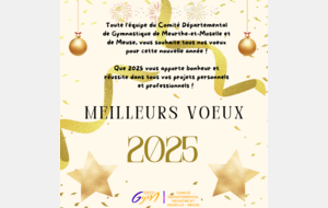 BONNE ANNEE 2025 A TOUTES ET A TOUS !!!!