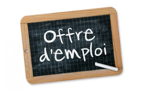 Offre d'emploi à pourvoir à partir du 15/08/2024